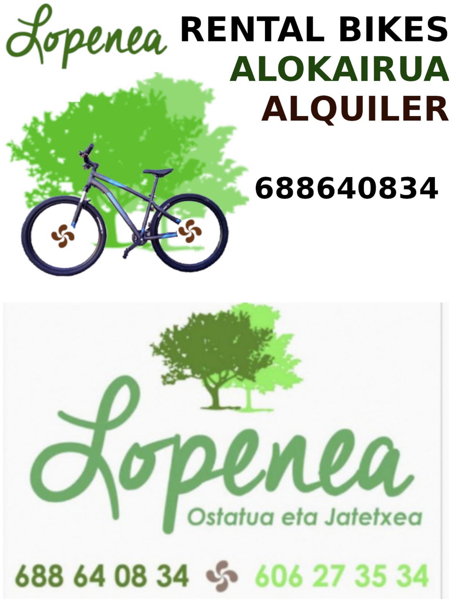 Hostal/Alquiler  de  Bicicletas  LOPENEA  